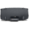JBL Xtreme 2 Gun Metall (JBLXTREME2GM) (UA)