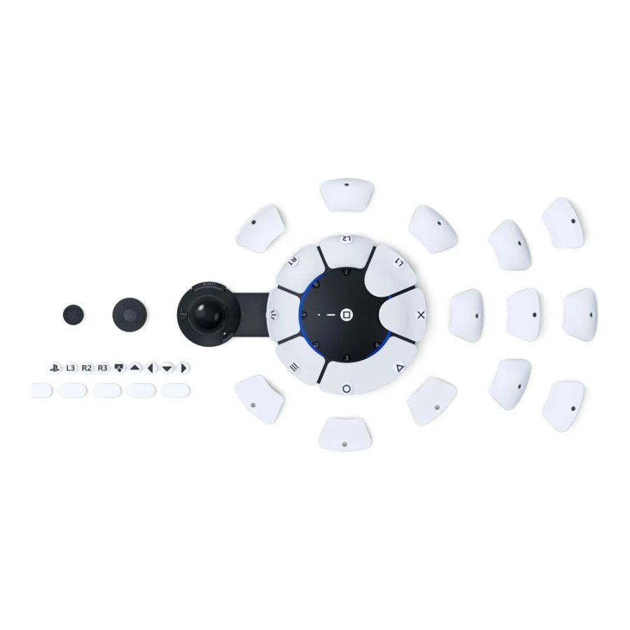 Sony Access controller (1000038412) (UA)