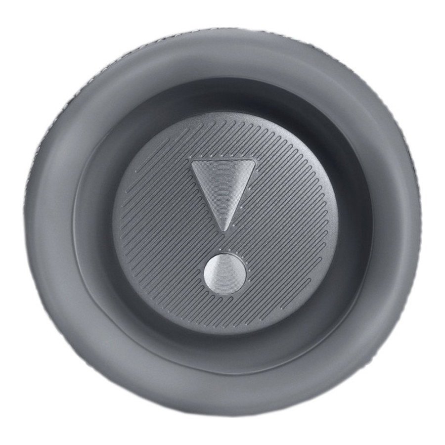 JBL Flip 6 Grey (JBLFLIP6GREY)