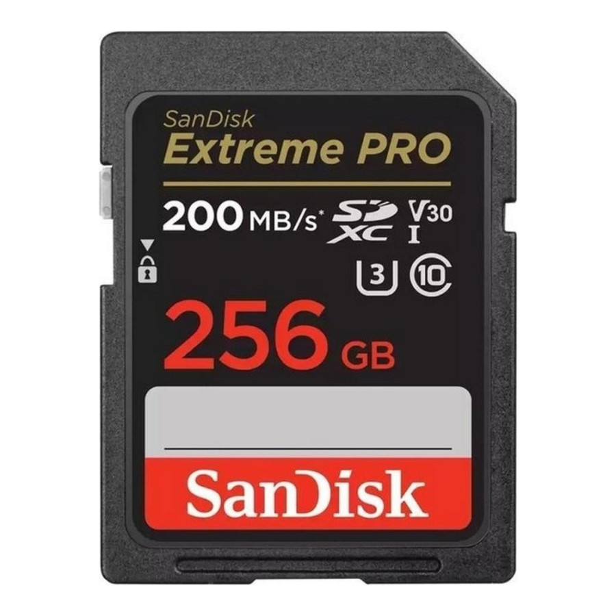 SanDisk 256 GB SDXC UHS-I U3 V30 Extreme PRO (SDSDXXD-256G-GN4IN)