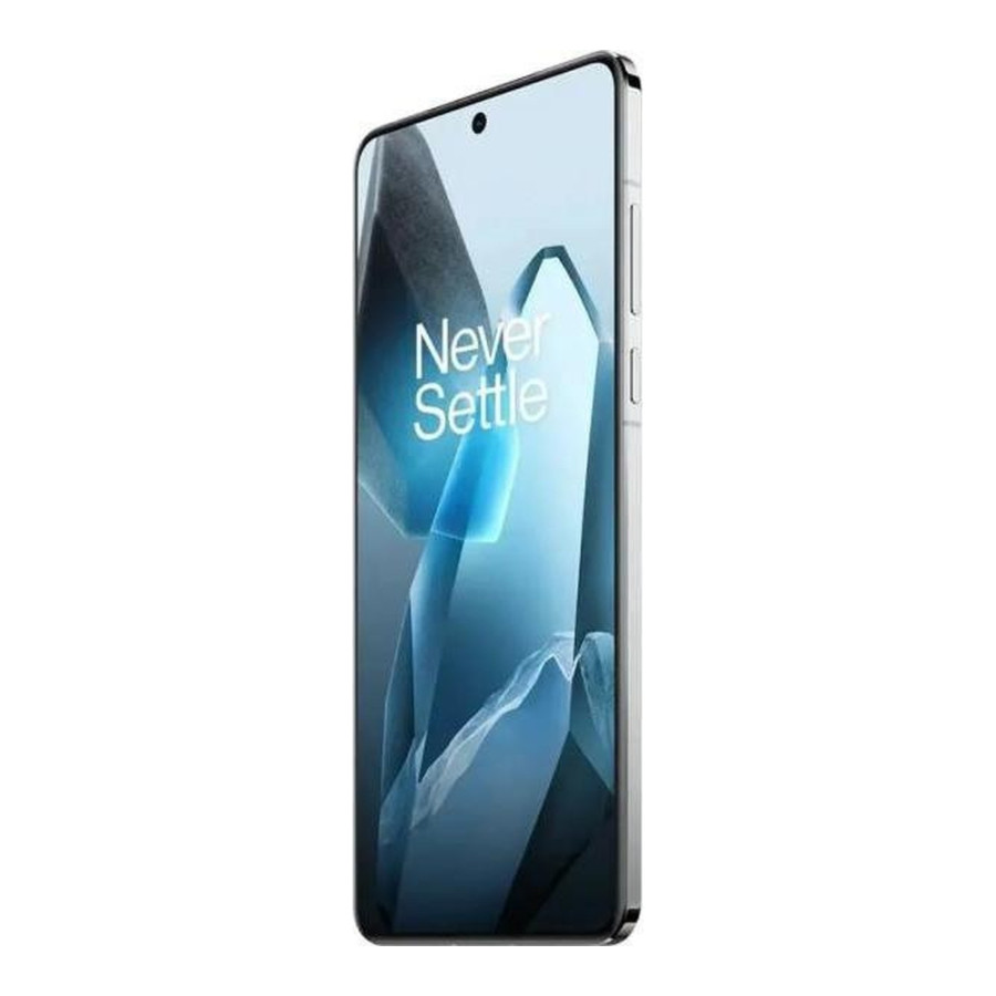 OnePlus 13 24/1TB Midnight Ocean (Global Version) INDIA