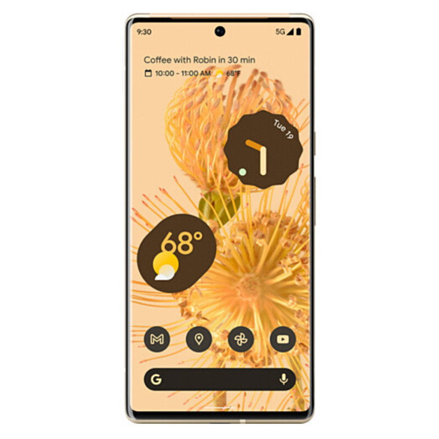Google Pixel 6 Pro 12/256GB Sorta Sunny (JP)