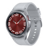 Samsung Galaxy Watch6 Classic 43mm Silver (SM-R950NZSA)