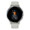Garmin Venu 3S Silver S. Steel Bezel w. Sage Gray Case and S. Band (010-02785-01/51)