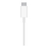 Apple MagSafe Charger (MHXH3) (EU)