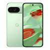 Google Pixel 9 12/256GB Wintergreen