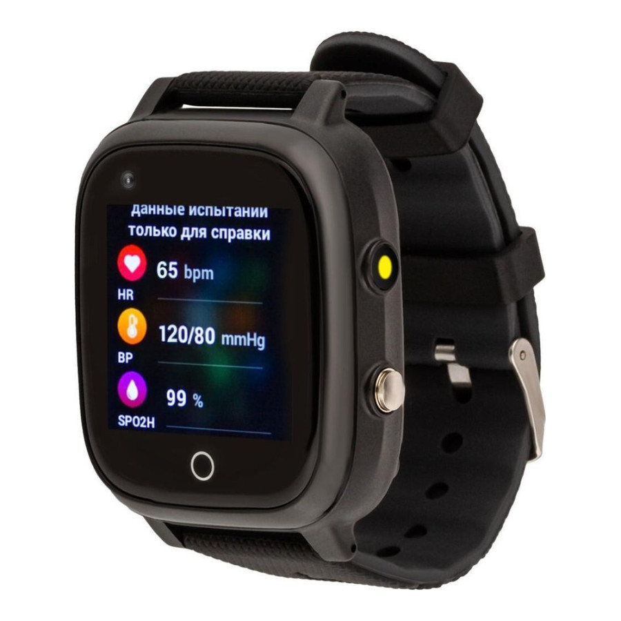 AmiGo GO005 4G WIFI Thermometer Black (UA)