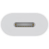 Apple USB-C to Lightning Adapter White (MUQX3) (High Copy)