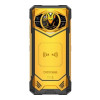 DOOGEE S200X VIP Edition 12/512GB Golden Guardian