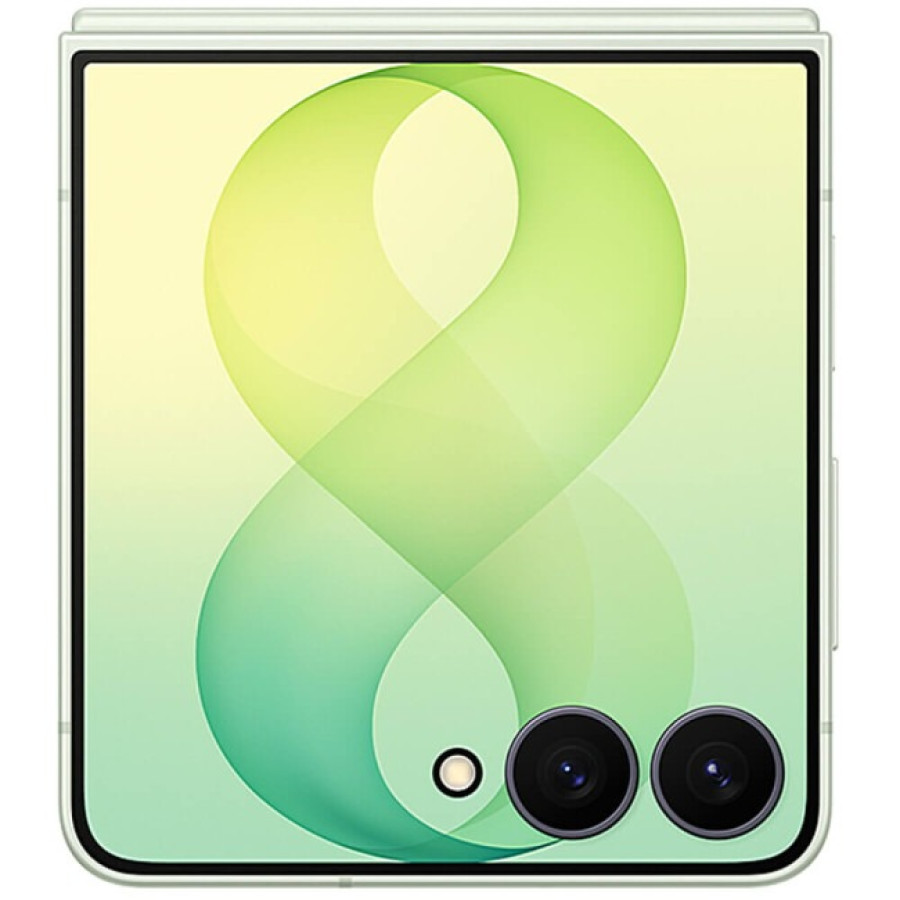 Samsung Galaxy Flip8 12/256GB Mint (SM-F776BLGG)