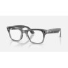 Ray-Ban Meta Wayfarer Gen2 Standard Shiny Transparent Grey Frame/Clear Sapphire Lenses (RW4012 6840MF 50-22)