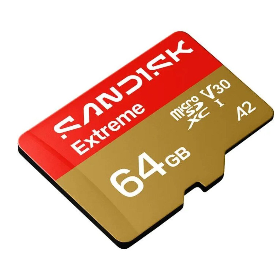 SanDisk 64 GB microSDXC Extreme Go (SDSQXGN-064G-GN6MN)