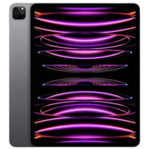 Apple iPad Pro 11 2022 Wi-Fi + Cellular 1TB Space Gray (MP5E3, MNYJ3)