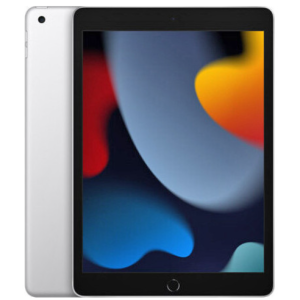Apple iPad 10.2 2021 Wi-Fi 256GB Silver (MK2P3)