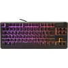 SteelSeries Apex 3 TKL USB (QWERTZ)