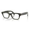 Ray-Ban Meta Blayzer Optics Gen2 Standard - Shiny Transparent Dark Olive / Demo Lens (RW7001 8530 50-19)