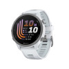 Garmin Forerunner 170 Whitestone with Whitestone/Cloud Blue Band (010-03920-01/51)