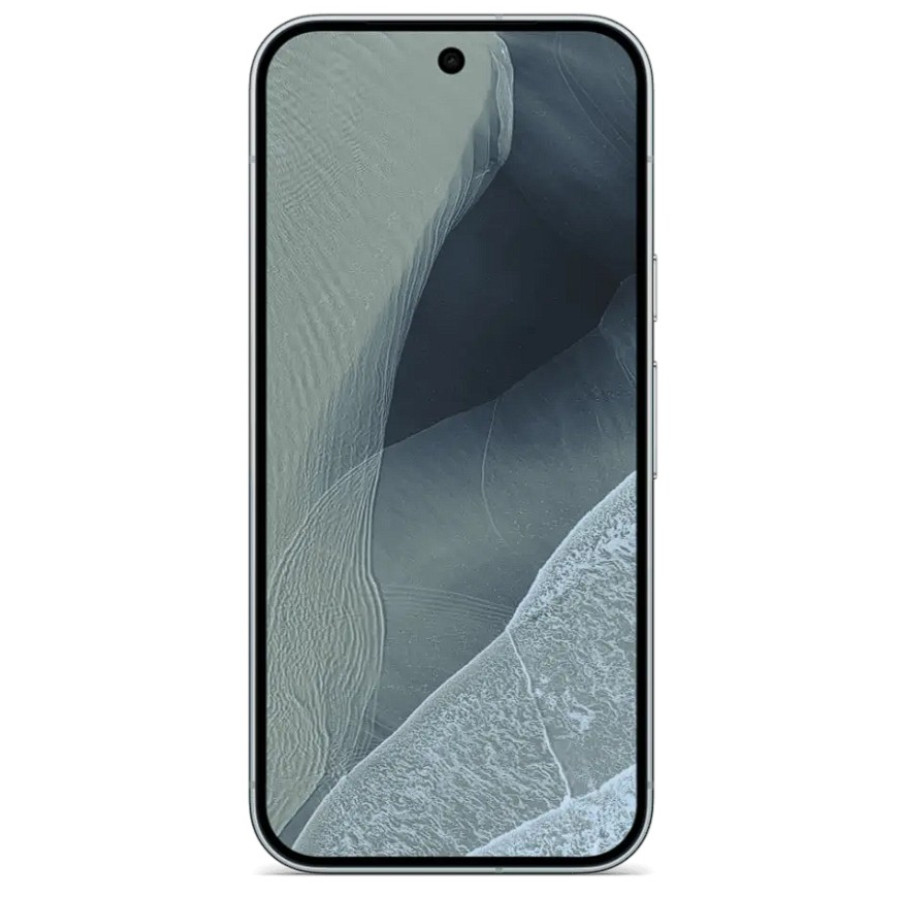 Google Pixel 11 Pro 12/1TB Fog