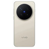 Vivo X300 Pro 16/512GB Dune Brown (Global Version)