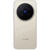 Vivo X300 12/256GB Dune Brown