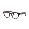 Ray-Ban Meta Scriber Optics Gen 2 - Transparent Umber Frame with Demo Lens (RW7002 8532 49-22)