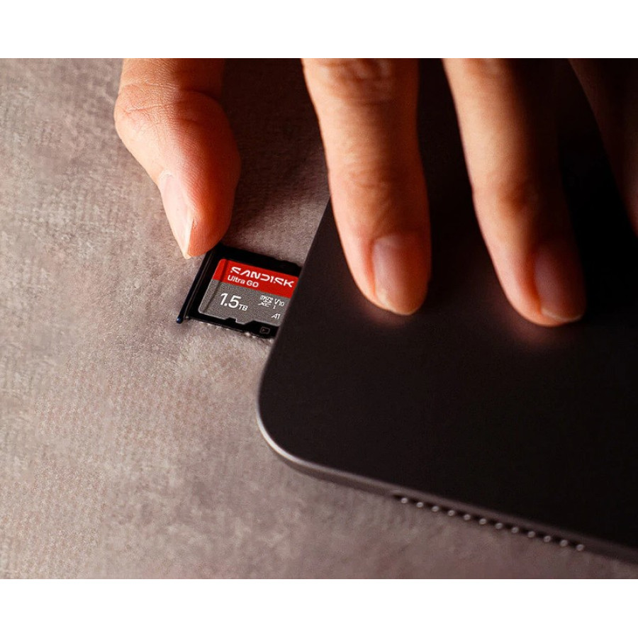 SanDisk 256 GB microSDXC Ultra Go (SDSQUGN-256G-GN6MN)