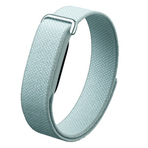 Google Fitbit Air Fog