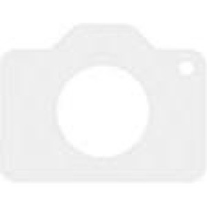 WD Elements Portable 4 TB (WDBU6Y0040BBK)