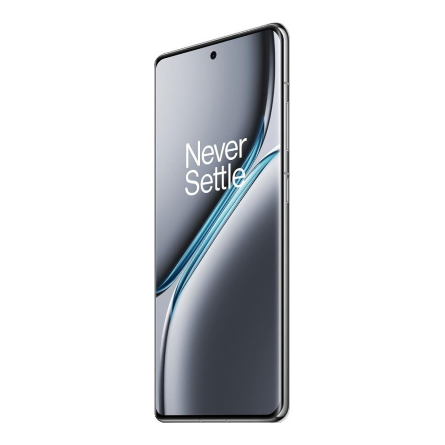 OnePlus Ace 3 Pro 12/256GB Gray