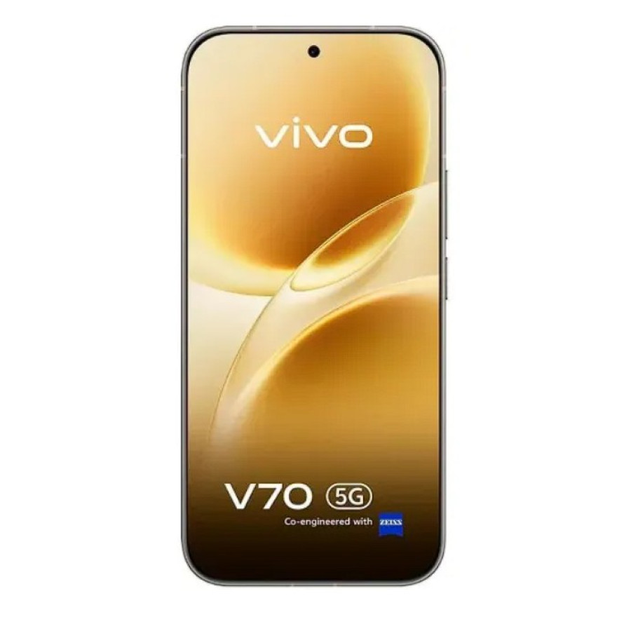 Vivo V70 12/256GB Gray (Global Version)