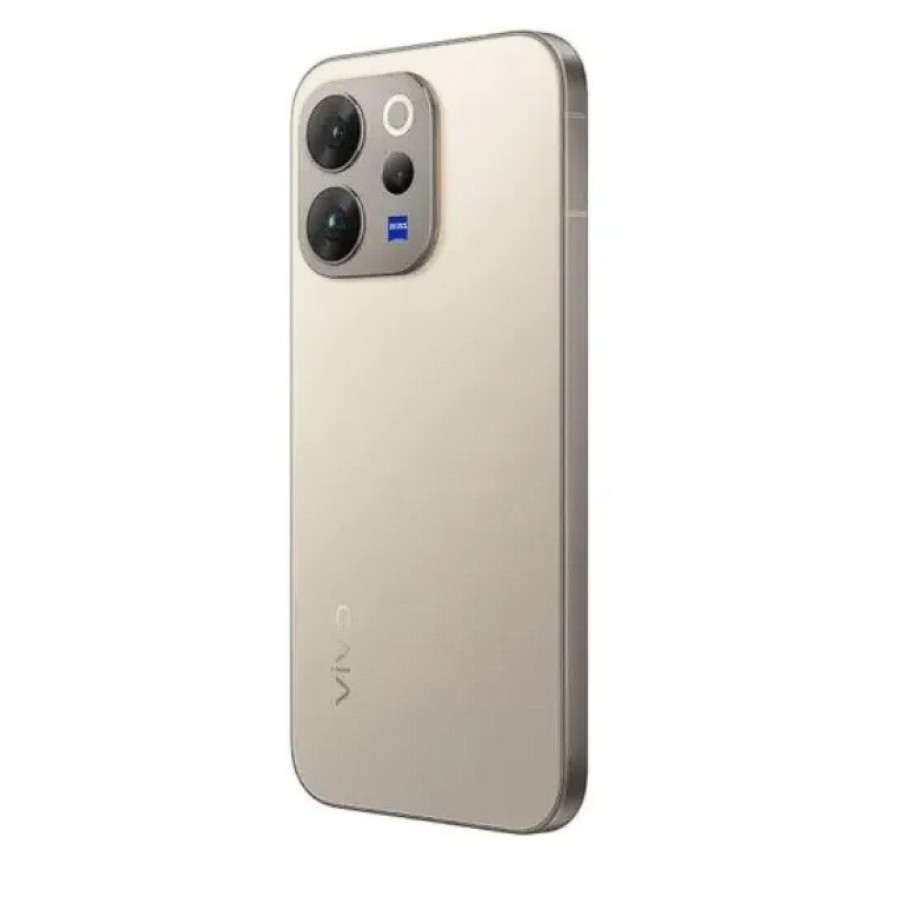 Vivo V70 12/256GB Gray (Global Version)