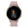 Garmin Venu 3S Soft Gold S. Steel Bezel w. Dust Rose Case and S. Band (010-02785-03)