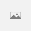 Logitech M100R Black (910-005006)