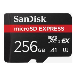 SanDisk 256 GB microSDXC Express Memory Card (SDSQXFN-256G-GN4NN)