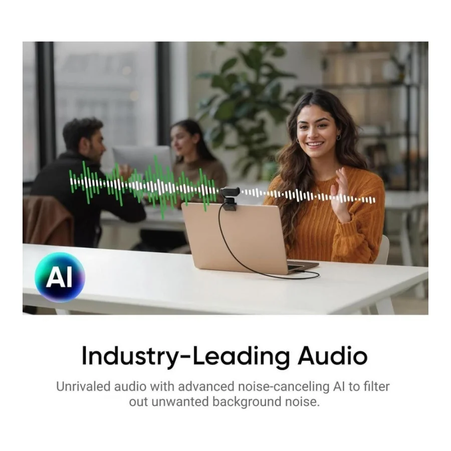 Insta360 Link 2 (CINSABNB)