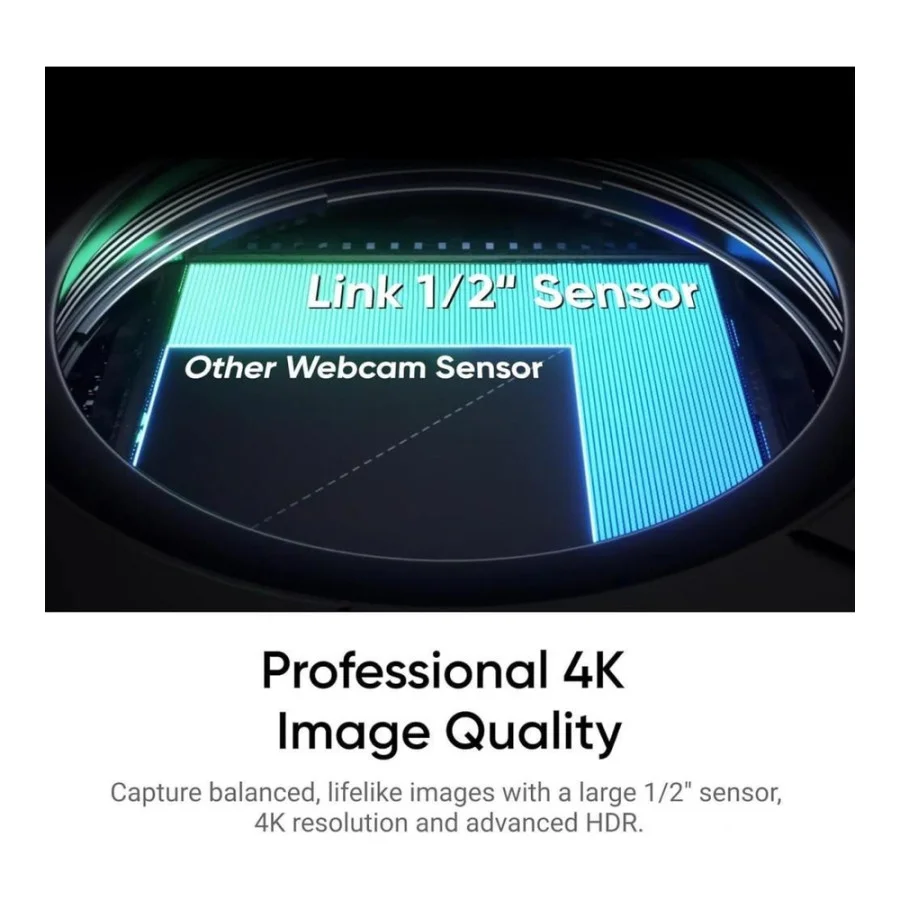 Insta360 Link 2 (CINSABNB)