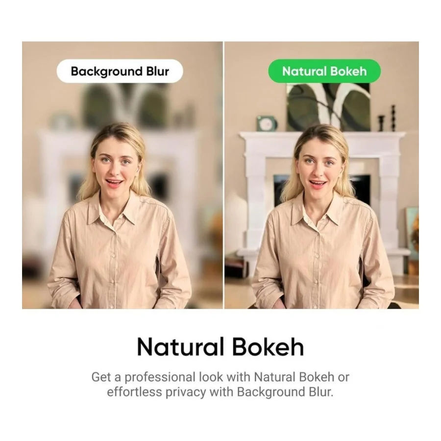 Insta360 Link 2 (CINSABNB)