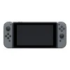 Nintendo Switch with Gray Joy Con