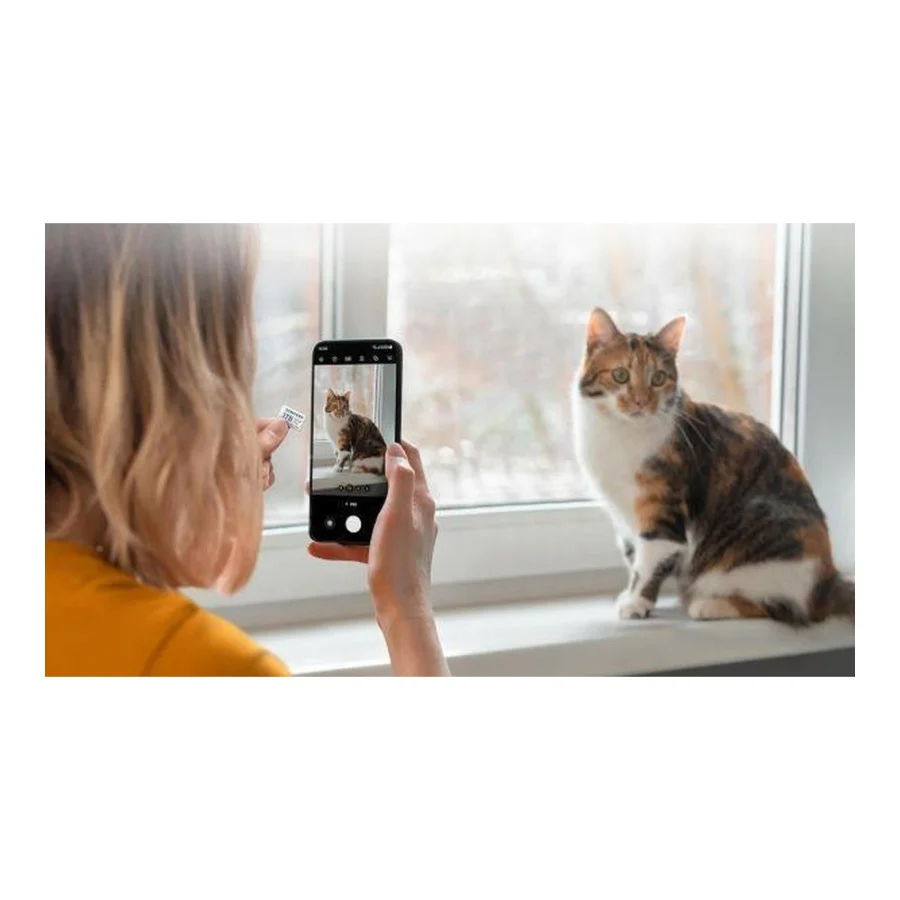 Samsung 512 GB microSDXC Class 10 UHS-I U3 V30 A2 EVO Plus + SD Adapter (MB-MC512SA)