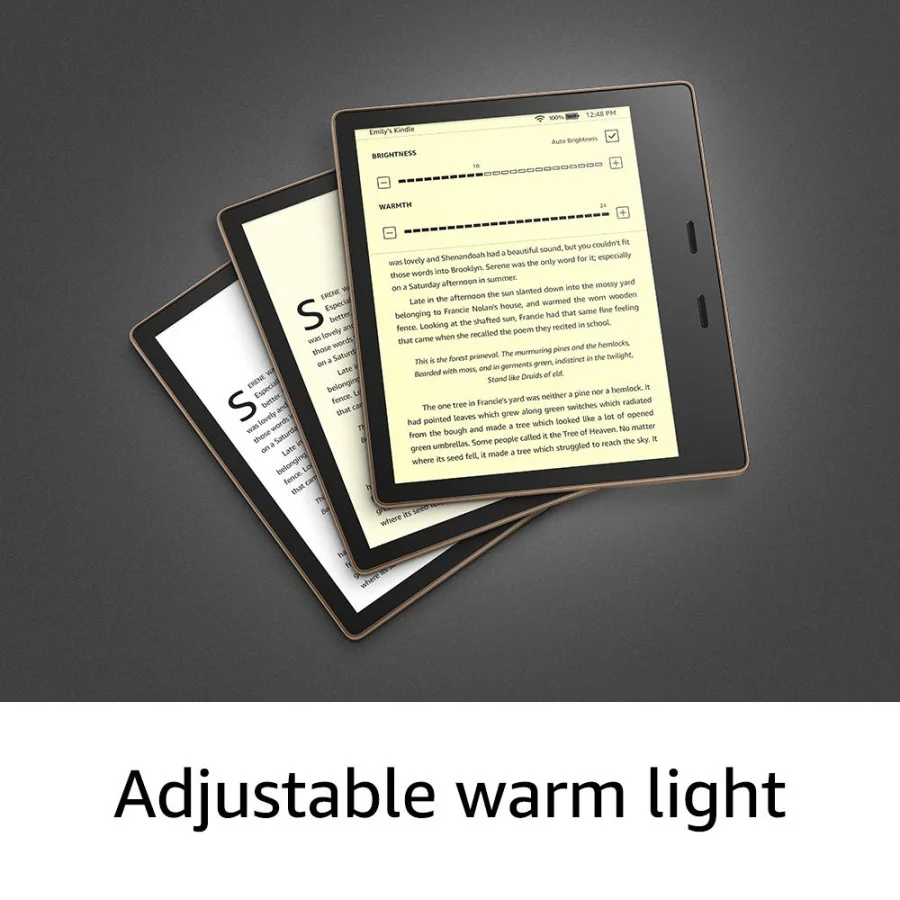 Amazon Kindle Oasis 10th Gen. 32GB Graphite