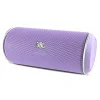 JBL Flip (Purple)