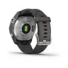 Garmin Fenix 7S Silver with Graphite Band (010-02539-00/01)