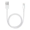 Apple Lightning to USB Cable 0.5m (ME291) (EU)