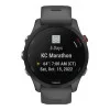 Garmin Forerunner 255 Slate Gray (010-02641-00/10/43)