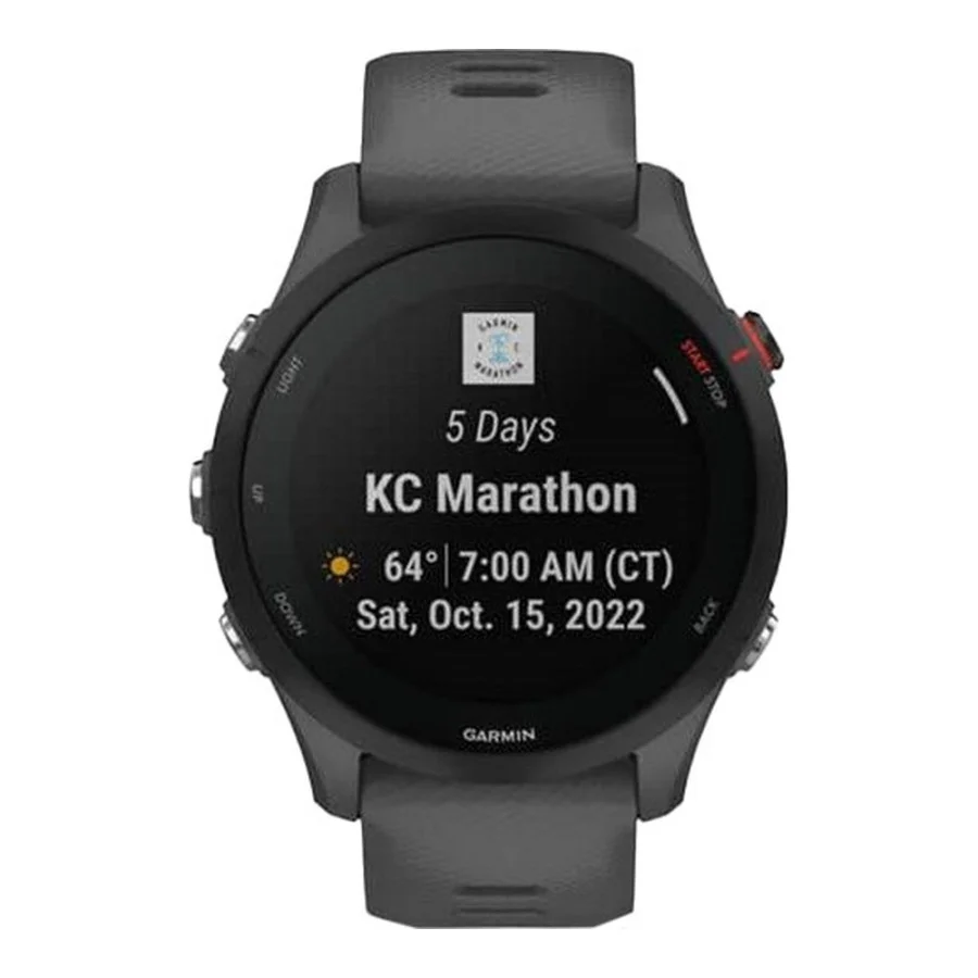 Garmin Forerunner 255 Slate Gray (010-02641-00/10/43)