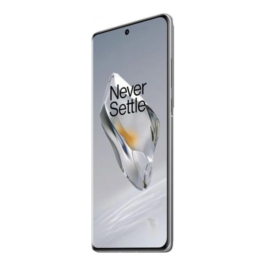 OnePlus 12 24/1TB Silver (Global Version)