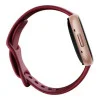 Fitbit Versa 4 Beet Juice/Copper Rose (FB523RGRD)