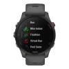 Garmin Forerunner 255 Slate Gray (010-02641-00/10/43)