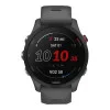 Garmin Forerunner 255 Slate Gray (010-02641-00/10/43)