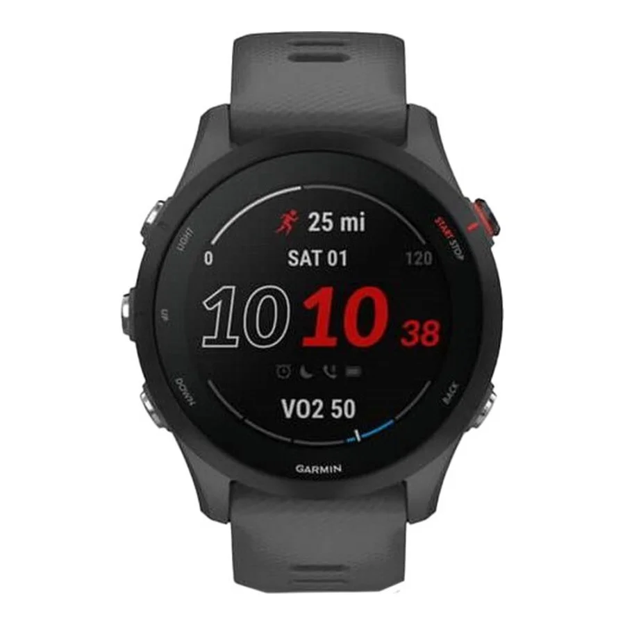 Garmin Forerunner 255 Slate Gray (010-02641-00/10/43)